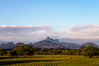 LS125 Wollumbin (Mt Warning) NSW